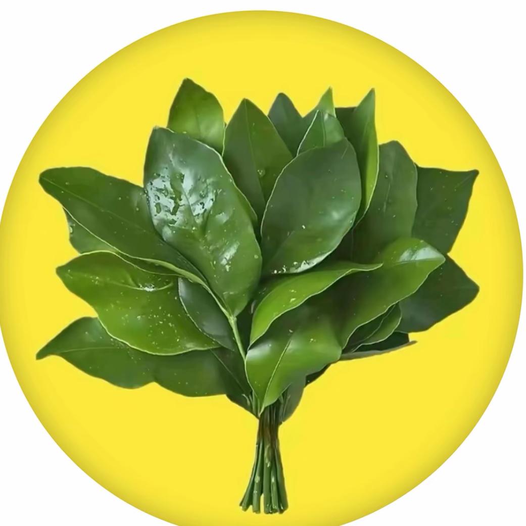 坚不可摧