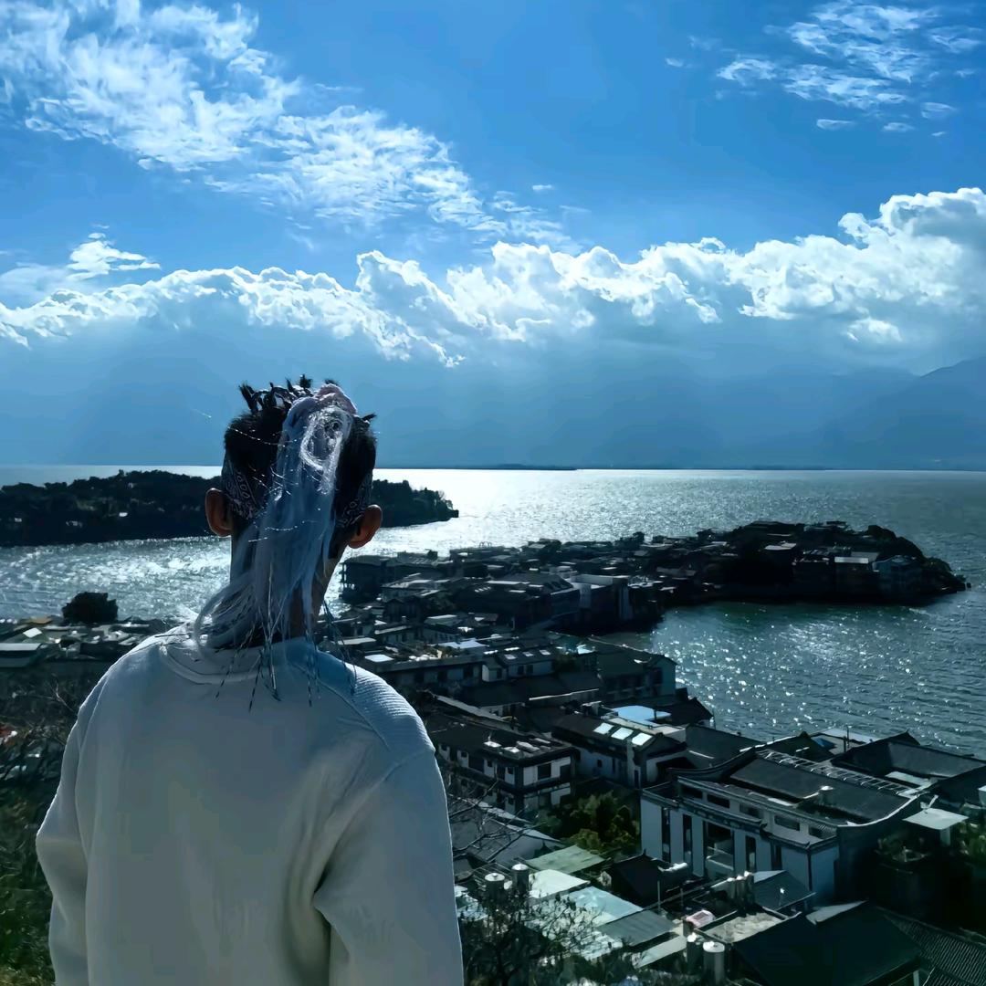树欲静