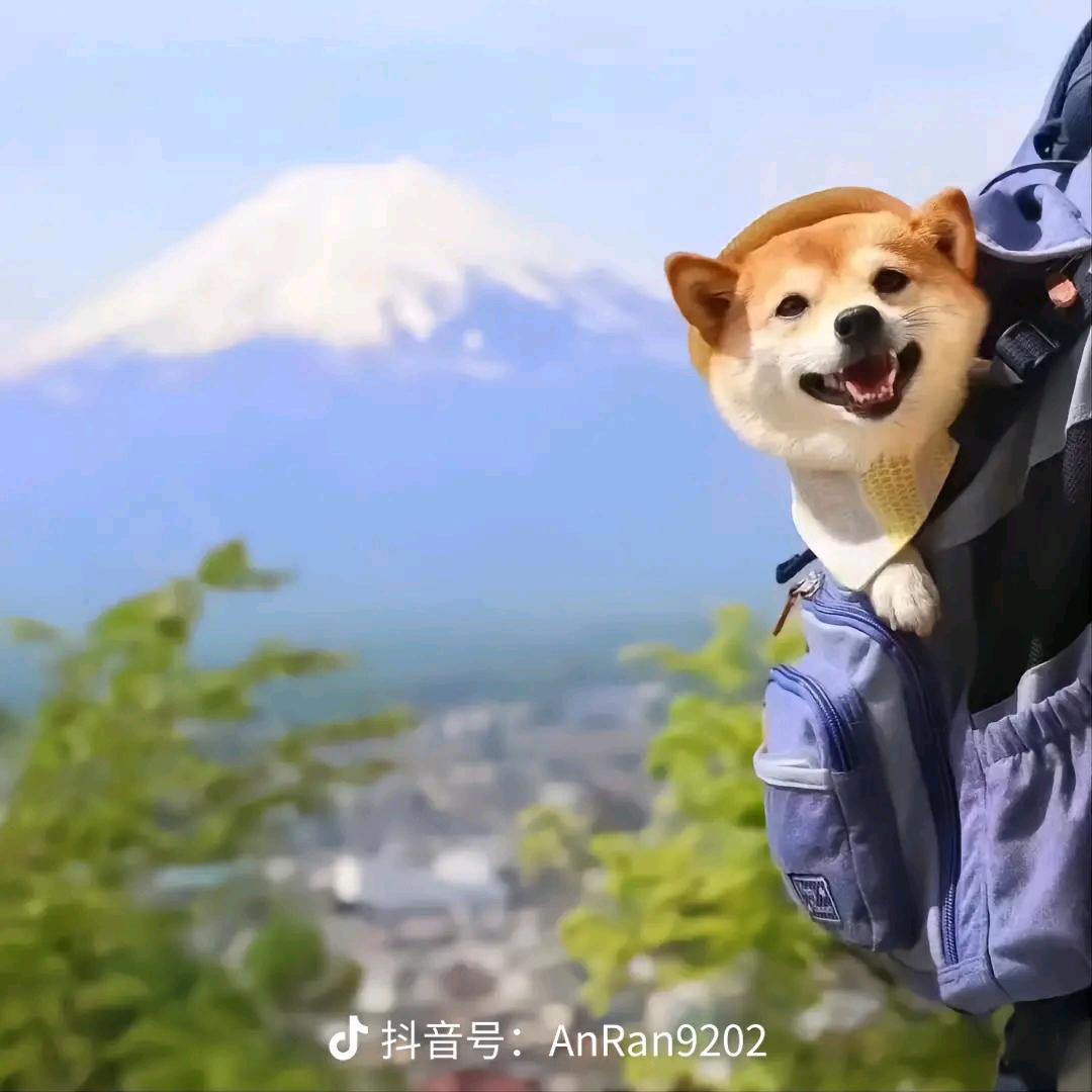 小浠好吃鬼