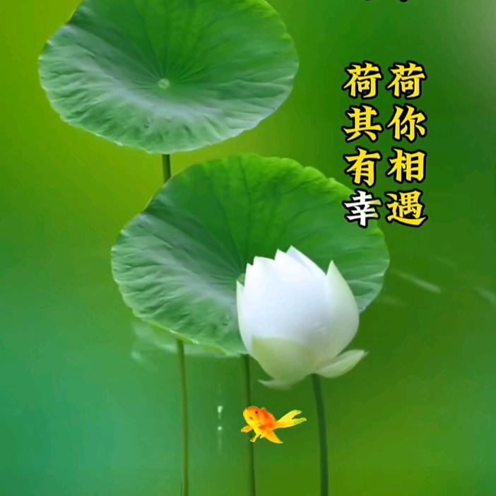 🎉随心*^_^🎉而行🎉