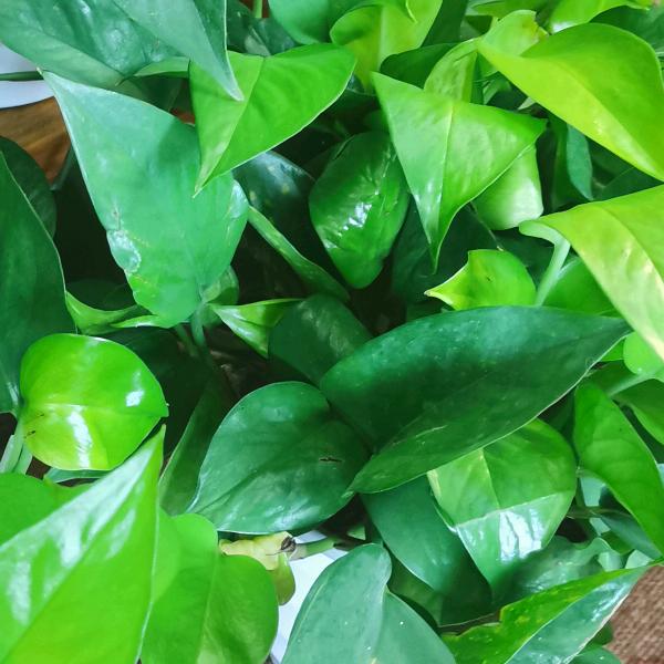 一乐企业管理-朱老师