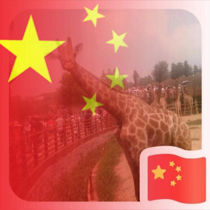 你好