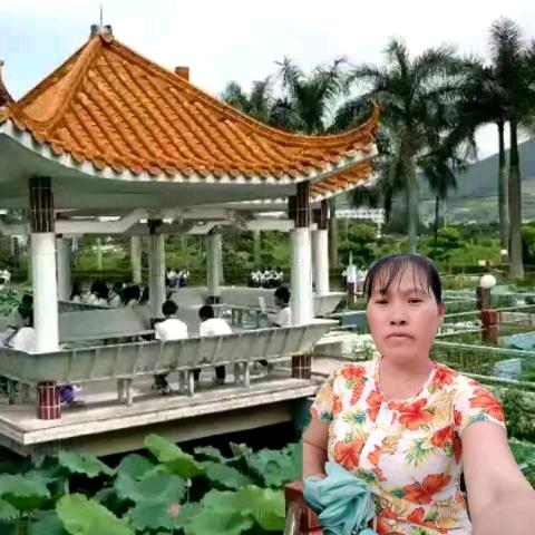 春天的花开。