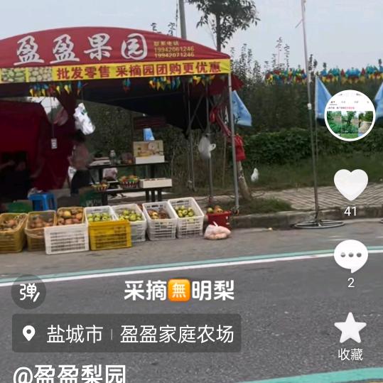 盈盈梨园