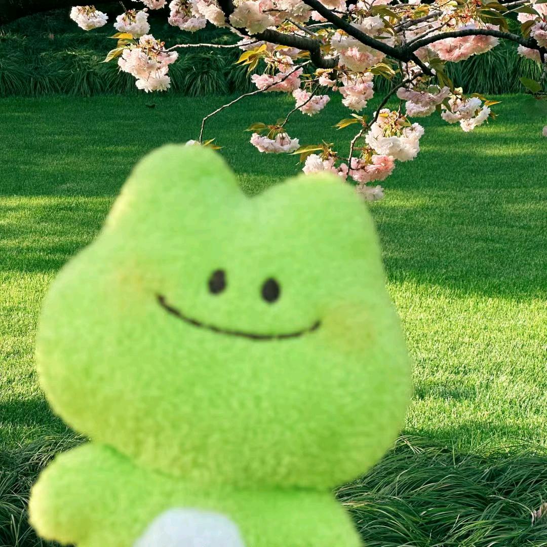 小影爱分享