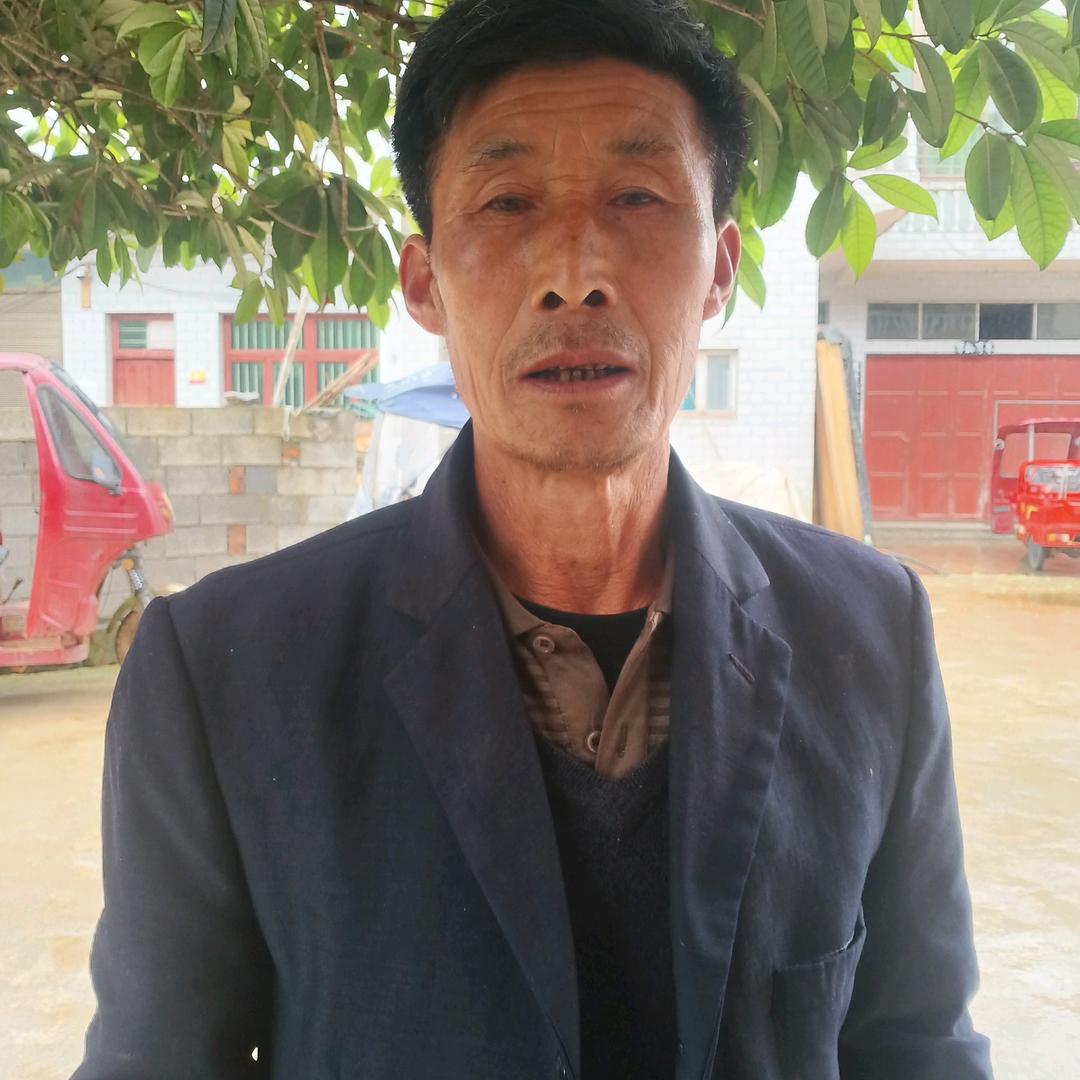高家箐