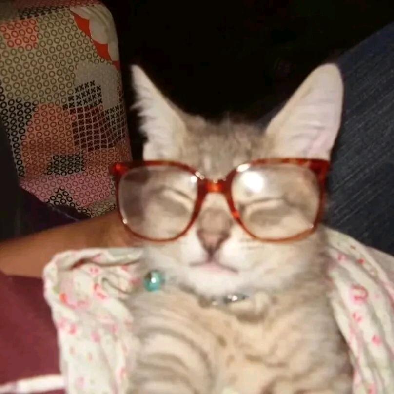 577