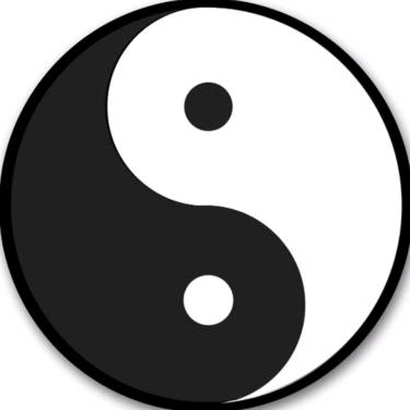 陈总夫妻炒股日常