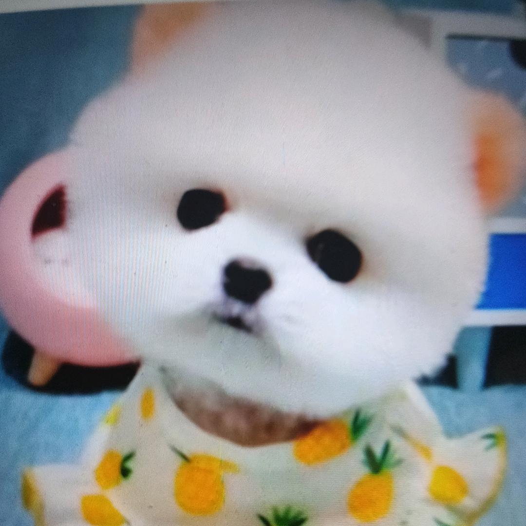 知足常乐