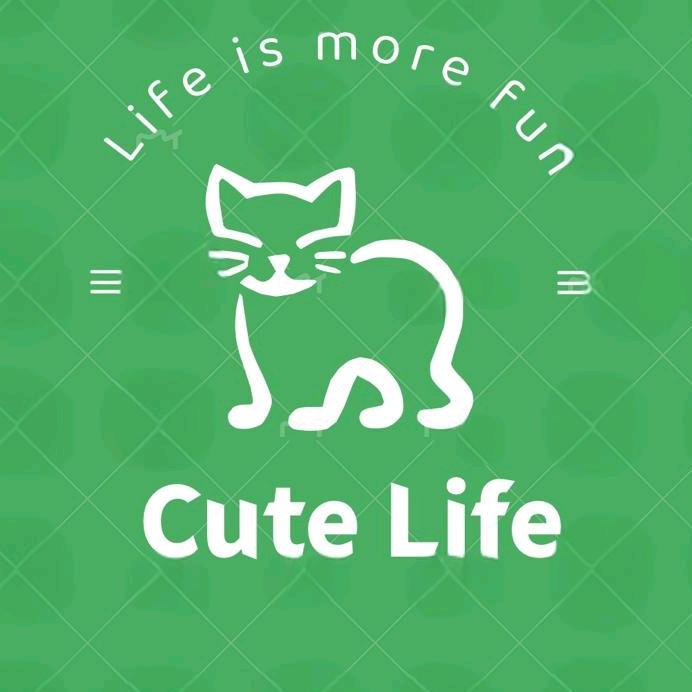 cutelife萌研社