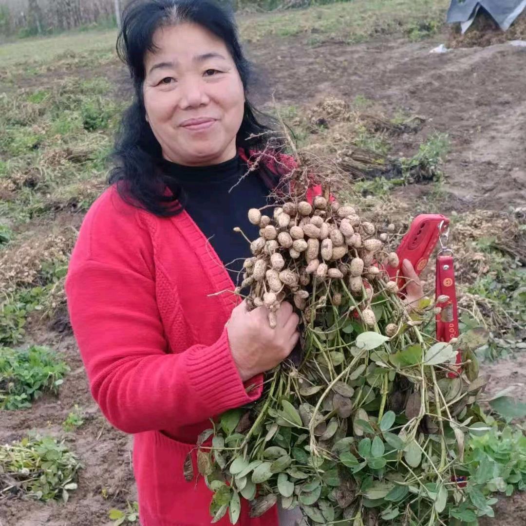 洼陈怀平农资农业人