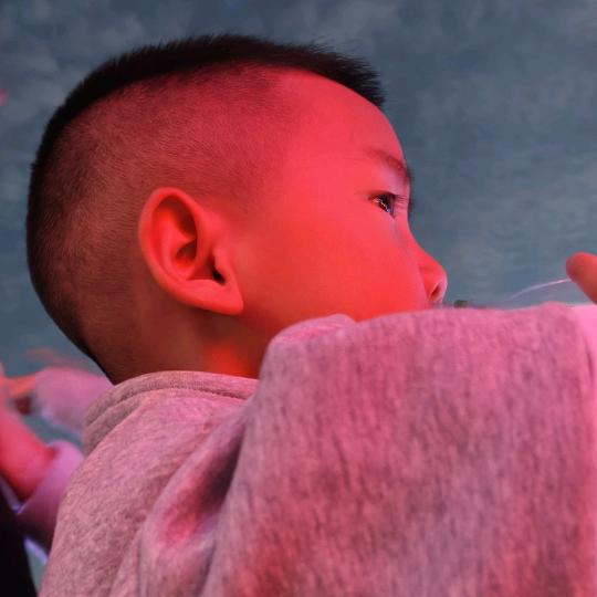 阿拉密斯的小店