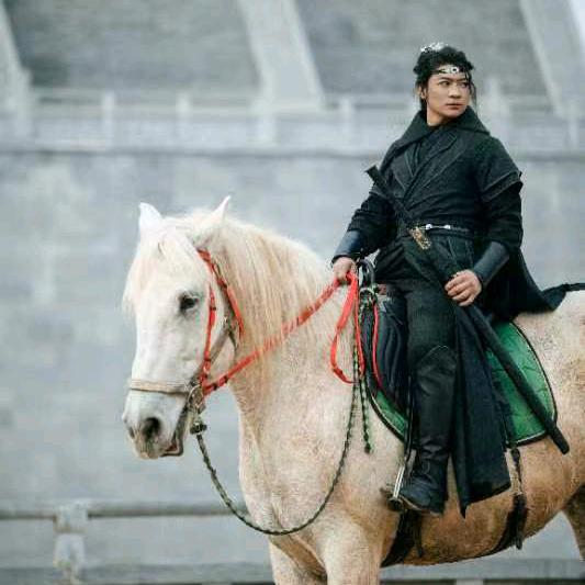威武骑士