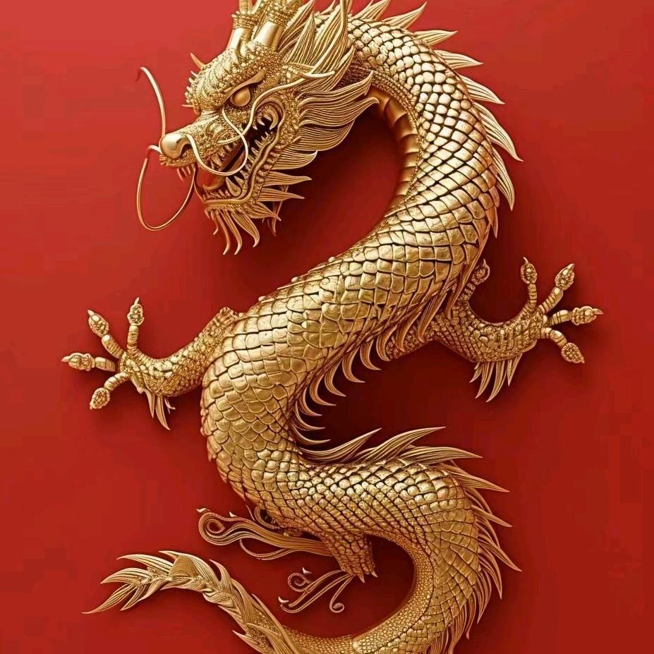 龙行天下.