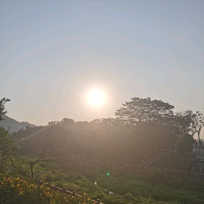 阳光🔥