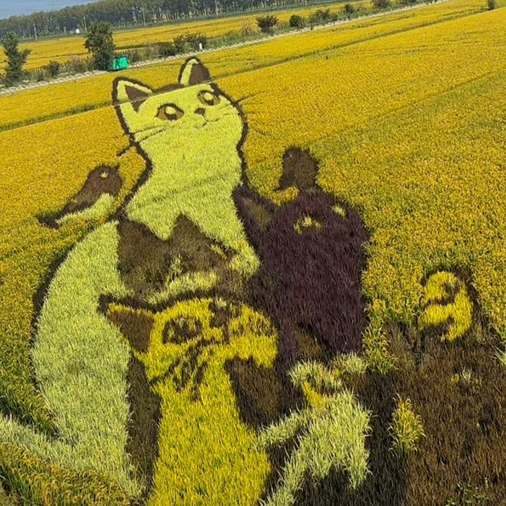 凌潇潇