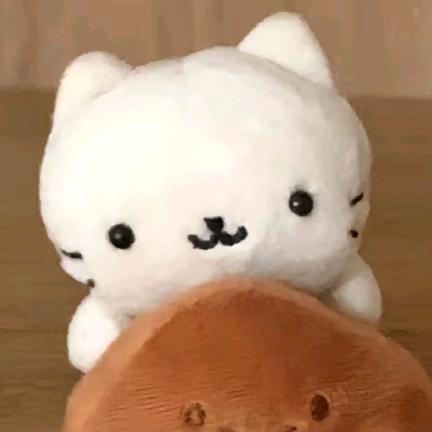 oio