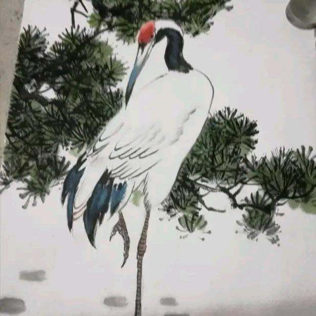 风雨人生％〈有赞必回〉