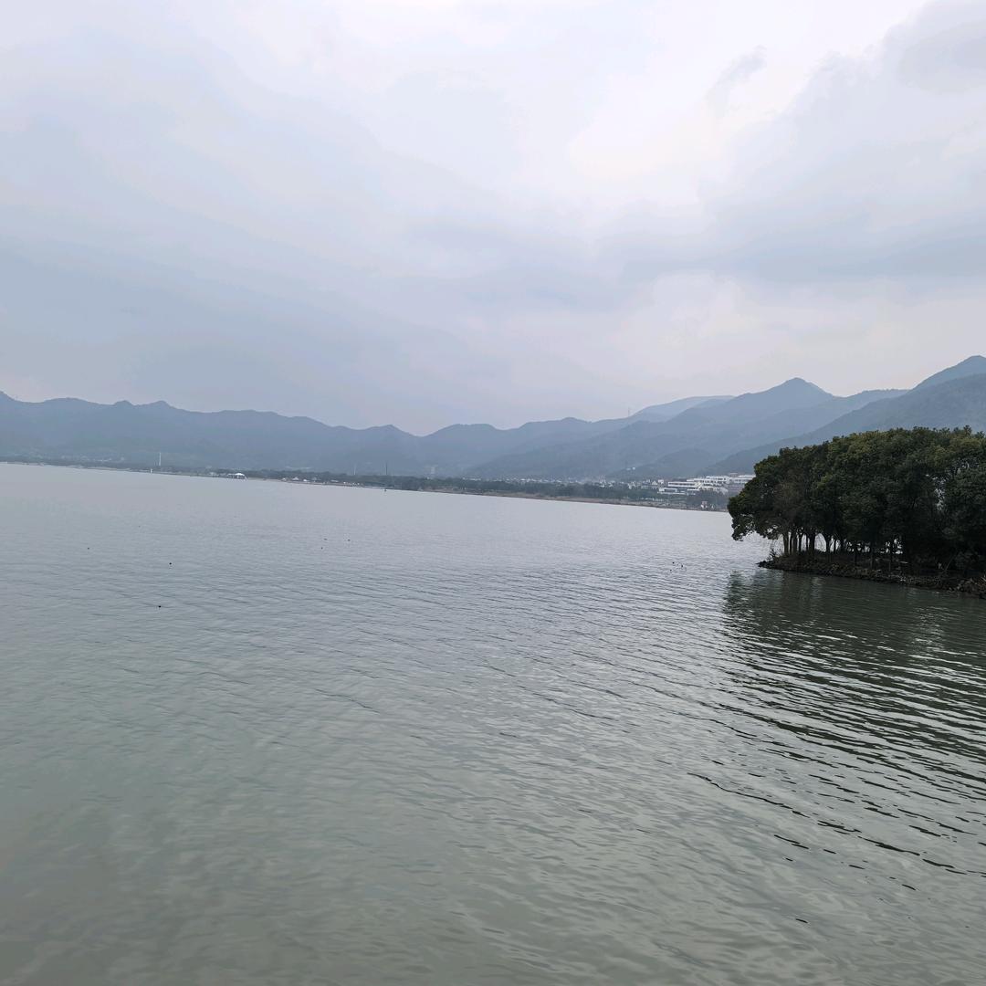 顺其淄燃