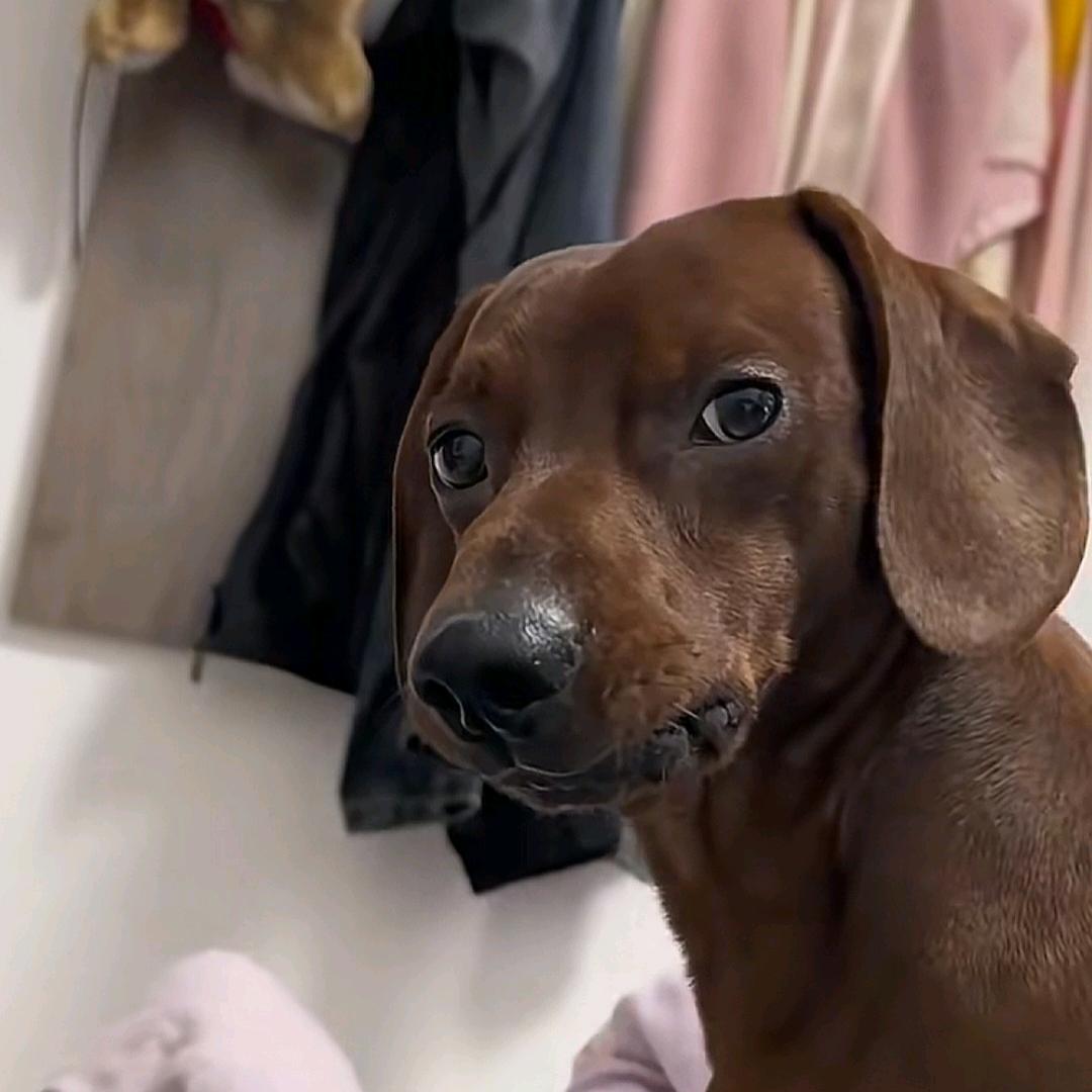 sеа（被货代气死版）