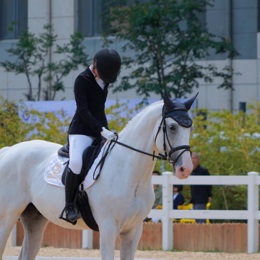 骐泽马术成长录