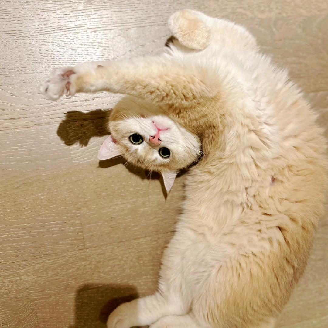 东坑租房