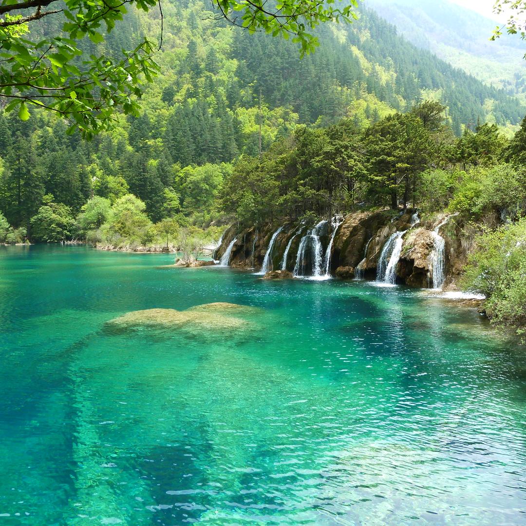 陪娃读书