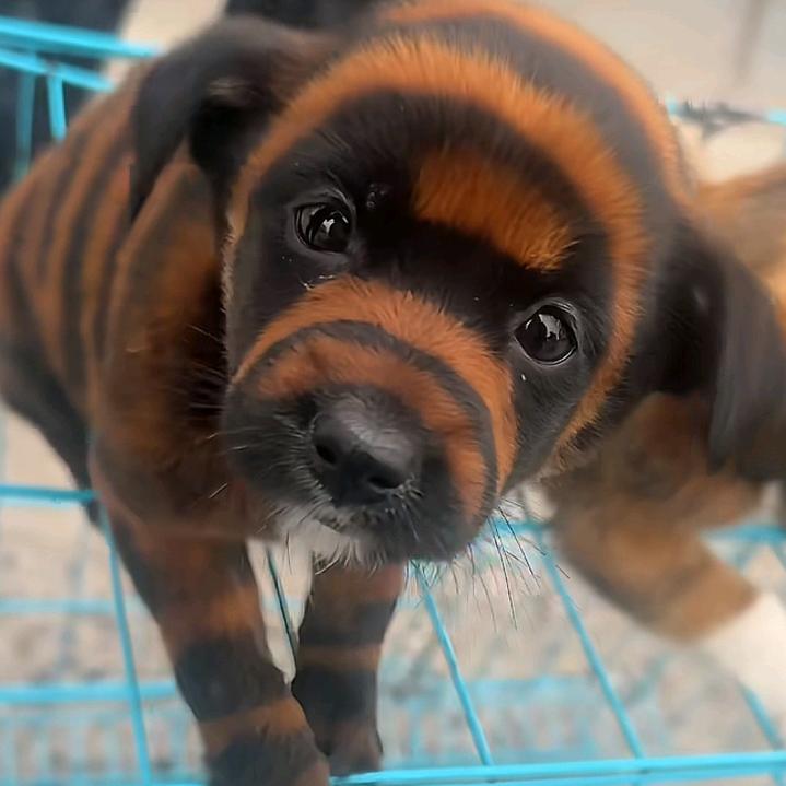 💰嘂嚻🐝🐝🐝