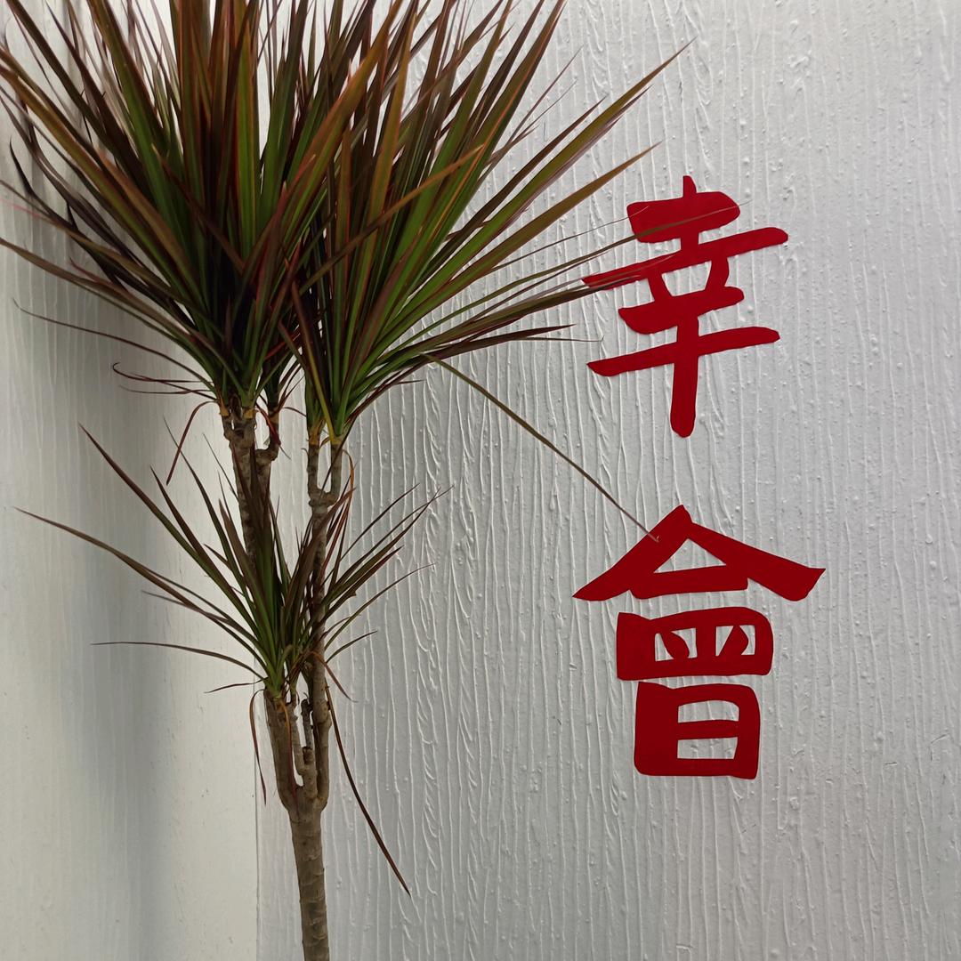 。好记爱吃辣