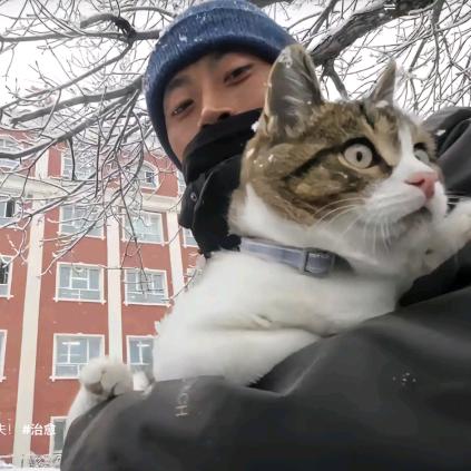 望仔头像