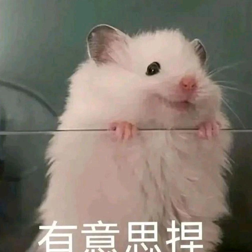 甜橘🍊(发疯版)