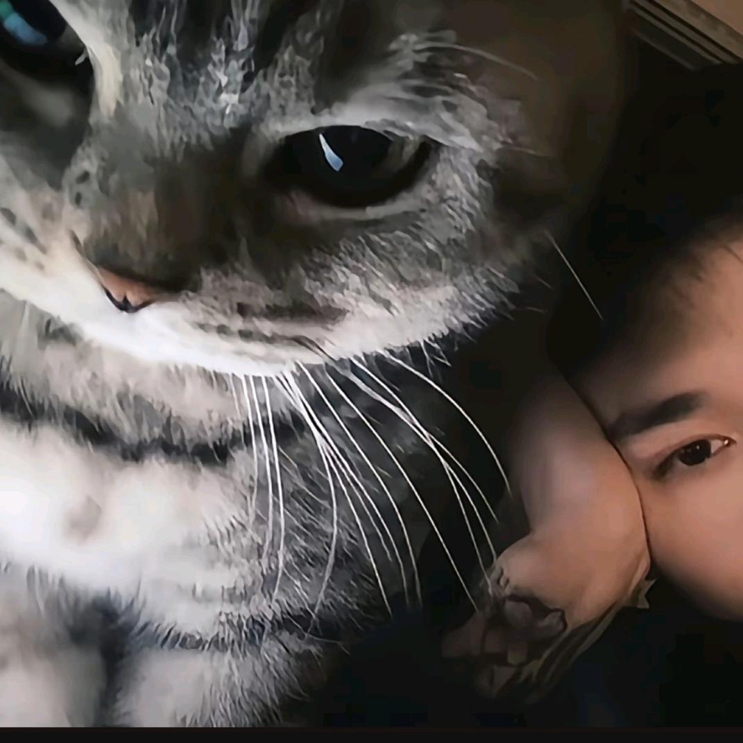 沐弗楸