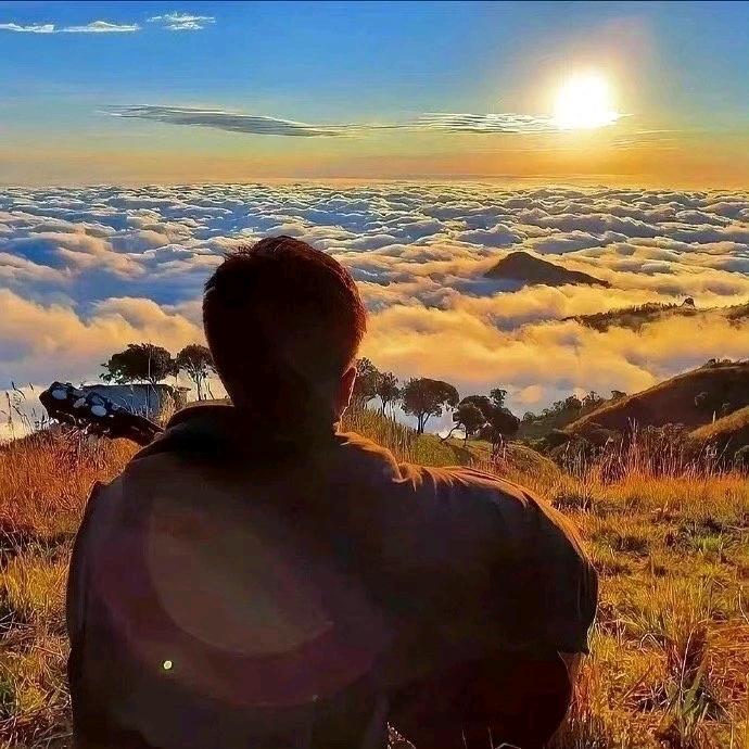阳光明媚呀☀