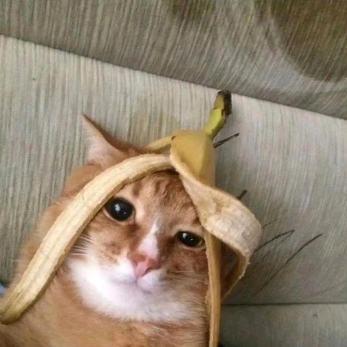 ꧁孤影꧂