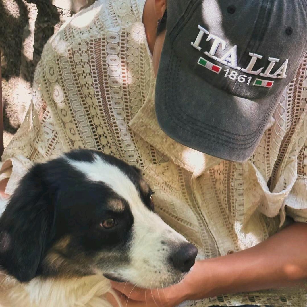 猛砸脑残那边好脑