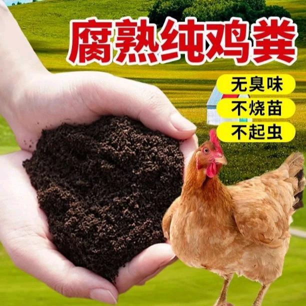 发酵纯羊粪纯鸡粪