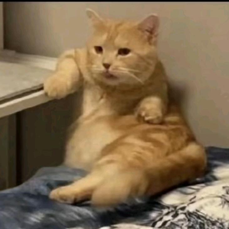 悲伤的麦辣鸡腿堡