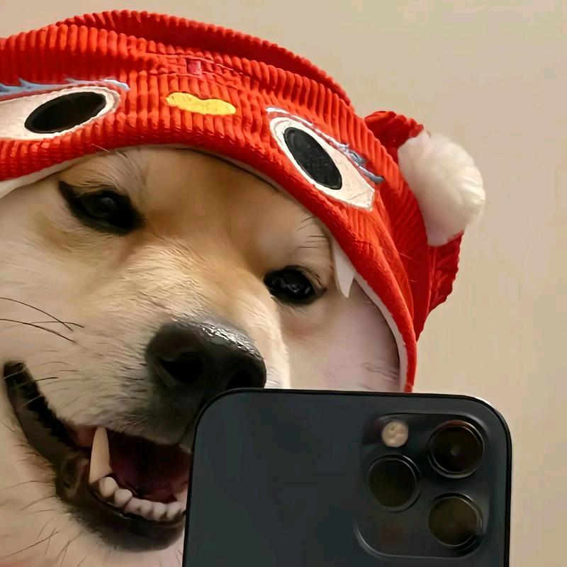 玲玲宠物用品