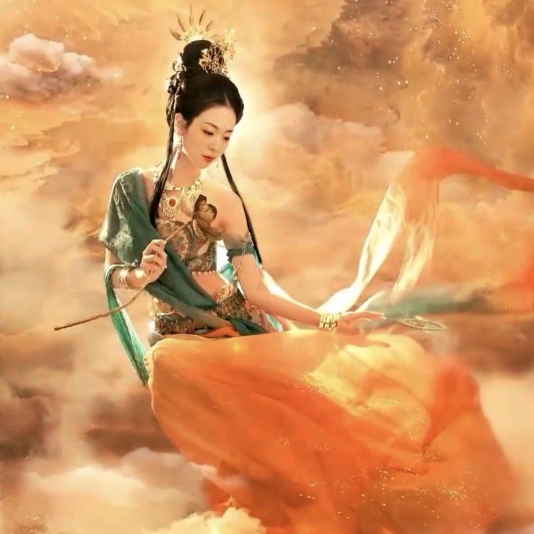 蕊宝