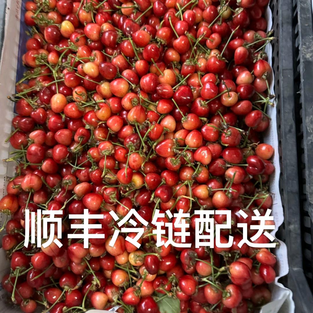 十步青山精品市集
