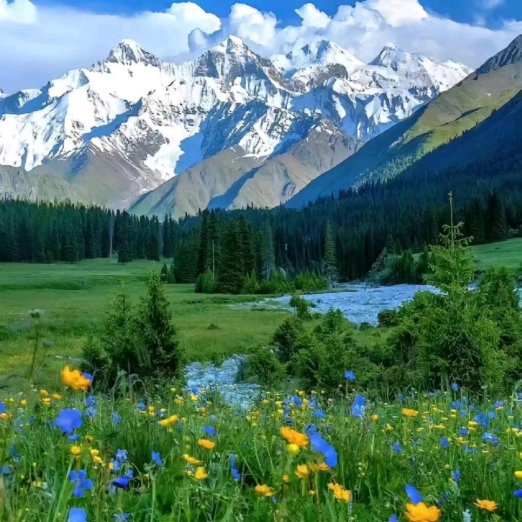 3368