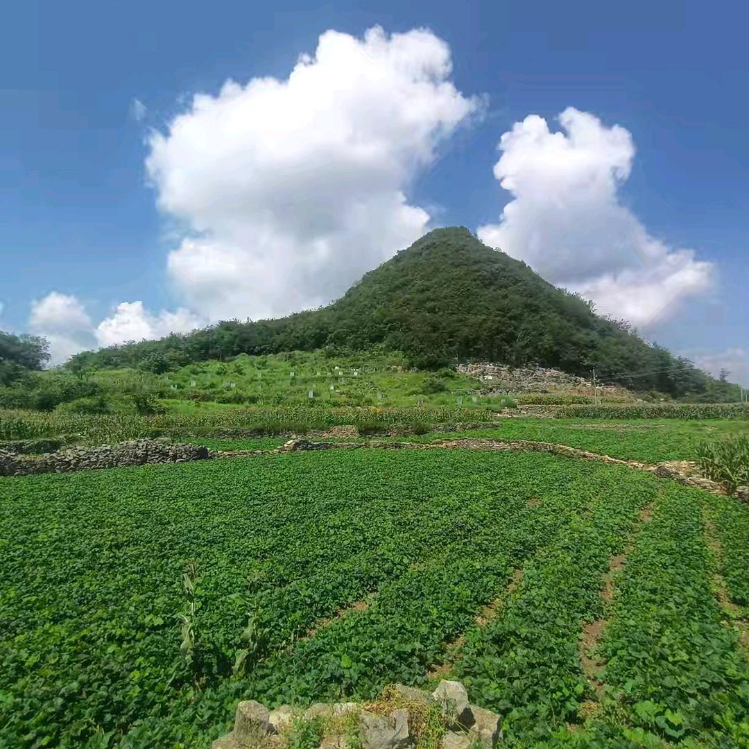 徐仁山