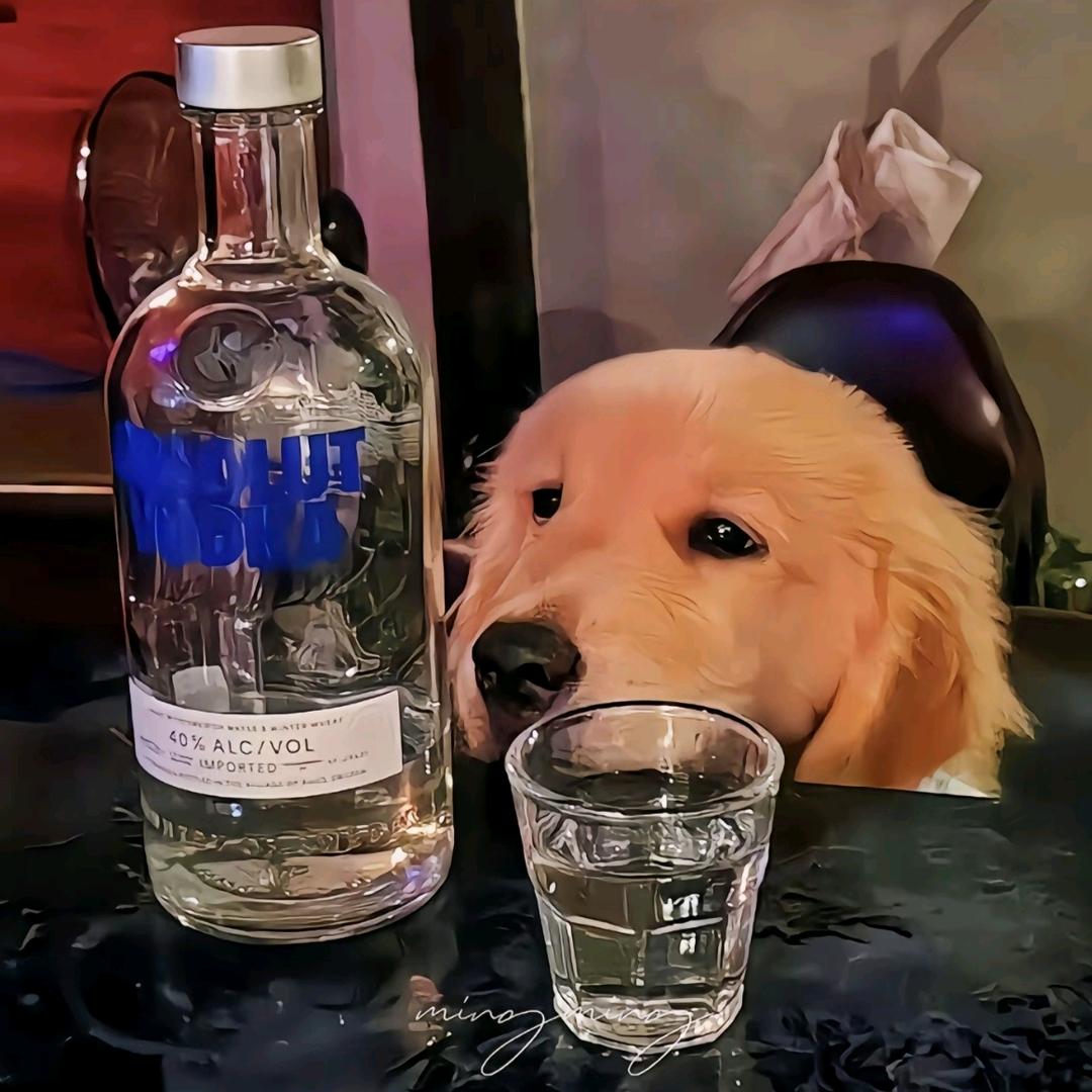 黑老师