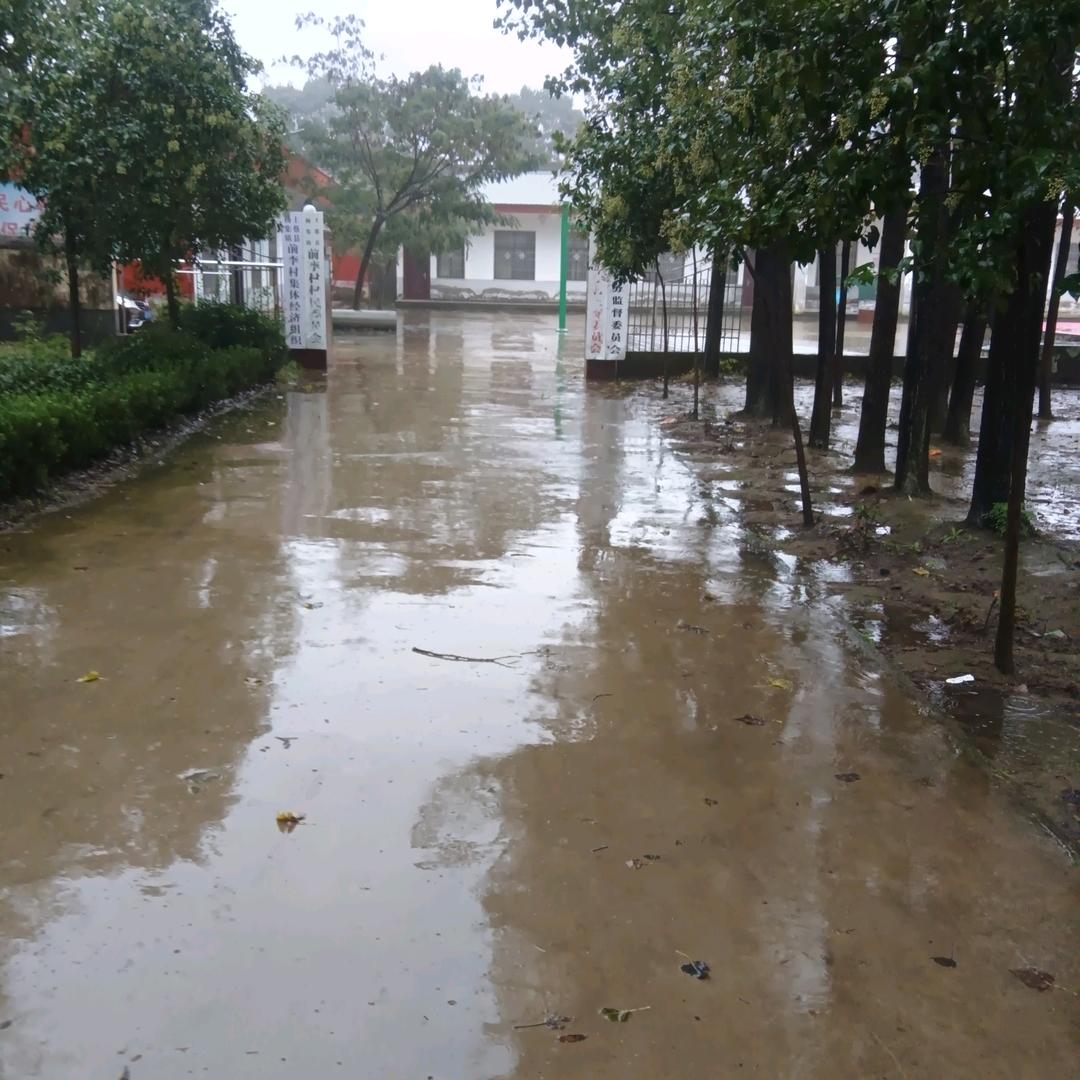 一场游戏一场梦