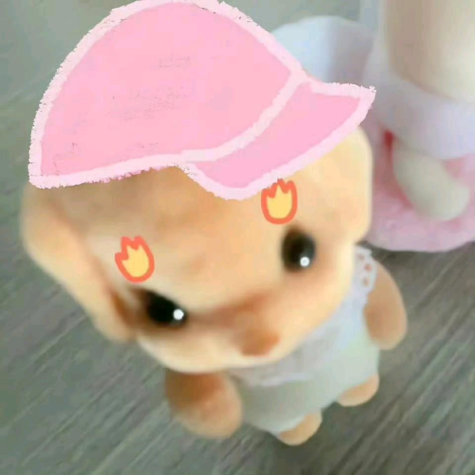 我最讨厌楞次定律