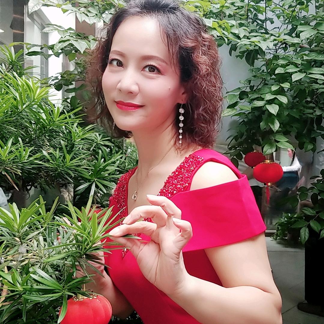 杨琴