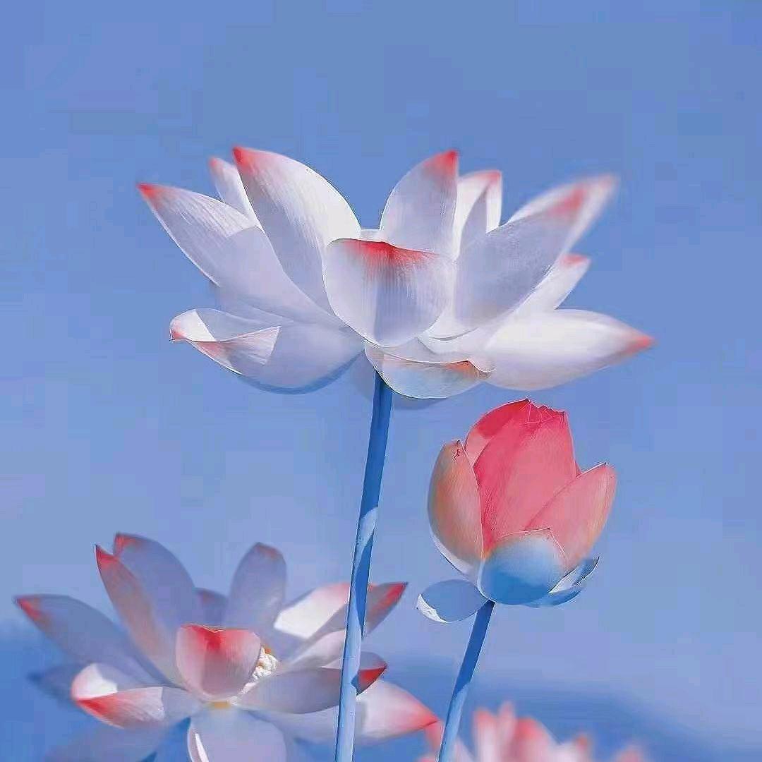 春天