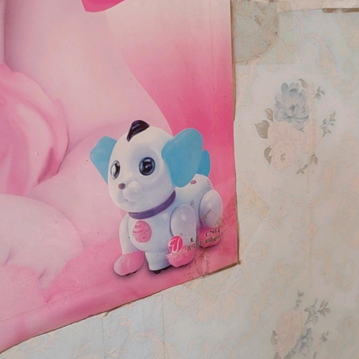 不不不不不