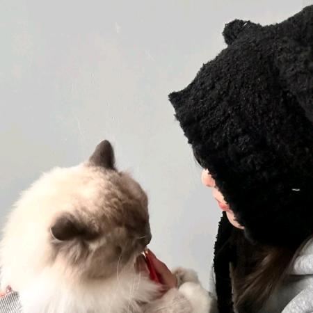 🥔土豆拯救世界