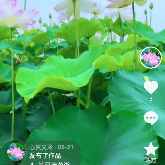 永远记住得不到的承诺